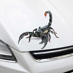Creative Personality Scratch Cover  Car Body Sticker, Black Spider, Spider Pair, Scorpion, Lizard