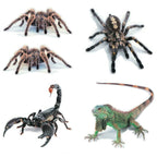 Creative Personality Scratch Cover  Car Body Sticker, Black Spider, Spider Pair, Scorpion, Lizard