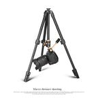 Q160s 4-Section Folding Legs Live Broadcast Aluminum Alloy Tripod Mount with Damping Tripod Ball-Head, Q160s