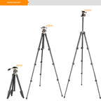 Q160s 4-Section Folding Legs Live Broadcast Aluminum Alloy Tripod Mount with Damping Tripod Ball-Head, Q160s