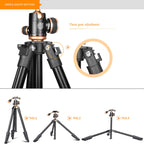 Q160s 4-Section Folding Legs Live Broadcast Aluminum Alloy Tripod Mount with Damping Tripod Ball-Head, Q160s