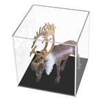 Clear Acrylic Camera Display Cover Plexiglass Display Case Countertop Box, Large 24x24x24cm, Small 10x10x10cm