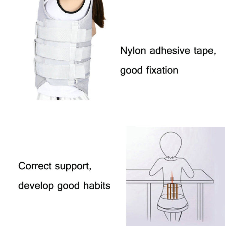 Thoracolumbar Fixation Belt Strap Type Protective Gear Without Airbag, Regular Style S, Regular Style M, Regular Style L, Regular Style XL, Mesh Style S, Mesh Style M, Mesh Style L, Mesh Style XL