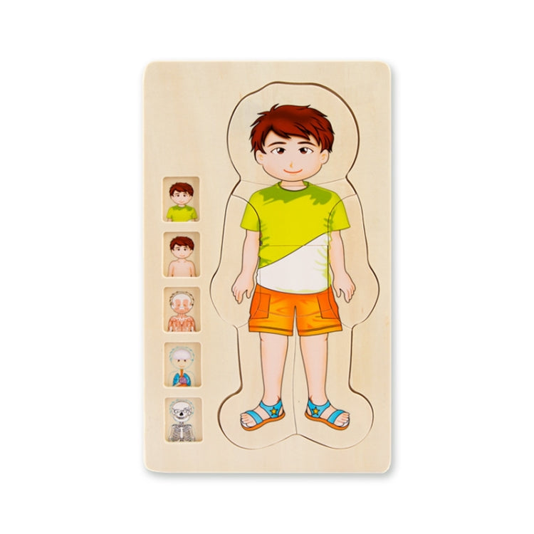 Onshine Five-Layer Human Body Structure Puzzle Wooden Puzzles For Children Physical Cognition, Boy, Girl