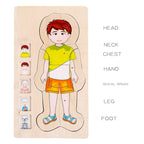 Onshine Five-Layer Human Body Structure Puzzle Wooden Puzzles For Children Physical Cognition, Boy, Girl