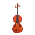 Colored Maple Wood Violin Beginner Practice Violin, Wood Violin