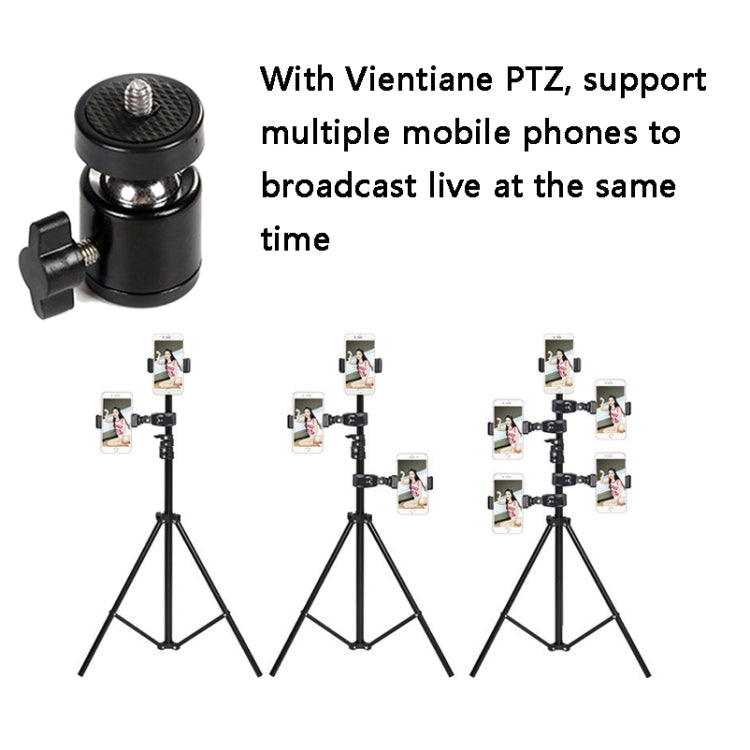 3 PCS Live Holder Conversion Interface For ZF0111, Universal Punitai