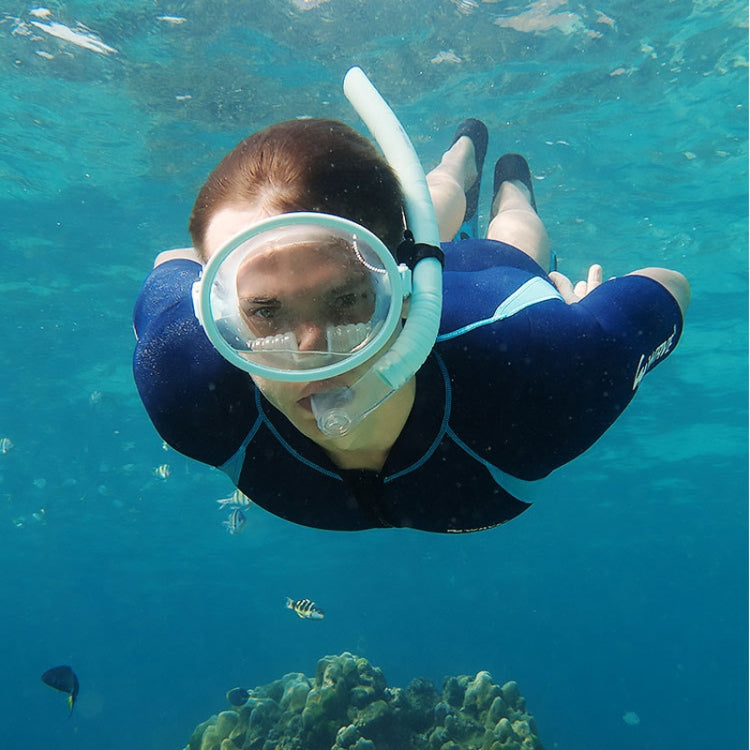 WAVE Panoramic Wide Field Of Vision Diving Goggles Anti-Fog And Waterproof Snorkeling Tempered Glass Mask, One Size