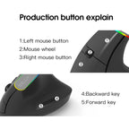 DELUX M618C 6 Keys 1600 DPI RGB Vertical Wireless Bluetooth Dual Mode Mouse, M618C(White), M618C(Black)