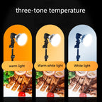 Mobile Phone Live Support Shooting Gourmet Beautification Fill Light Indoor Jewelry Photography Light, Style:, 500W Mushroom Lamp + Tripod, 700W Mushroom Lamp + Tripod, 355W Mushroom Lamp + Stand, 500W Mushroom Lamp + Stand, 700W Mushroom Lamp + Stand ...