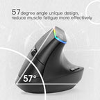 DELUX M618DB 6-Keys 1600 DPI RGB Vertical Wireless Bluetooth Dual-Mode Mouse, M618DB(Bluetooth Version)