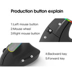 DELUX M618DB 6-Keys 1600 DPI RGB Vertical Wireless Bluetooth Dual-Mode Mouse, M618DB(Bluetooth Version)