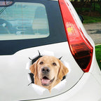 4 PCS 3D Simulation Animal Personality Car Stickers Glass Car Door Scratches Decorative Occlusion Stickers, Dog Head 2, Cat Style 1, Cat Style 2, Cat Style 4, Cat Style 5, Cat Style 6