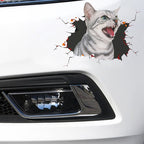 4 PCS 3D Simulation Animal Personality Car Stickers Glass Car Door Scratches Decorative Occlusion Stickers, Dog Head 2, Cat Style 1, Cat Style 2, Cat Style 4, Cat Style 5, Cat Style 6