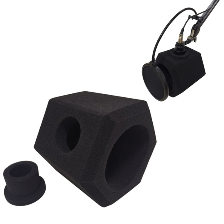 TEYUN Small Microphone Recording Noise Reduction Soundproof Cover, C2