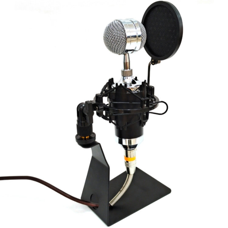 TEYUN L-Shaped Iron Triangle Metal Microphone Stand