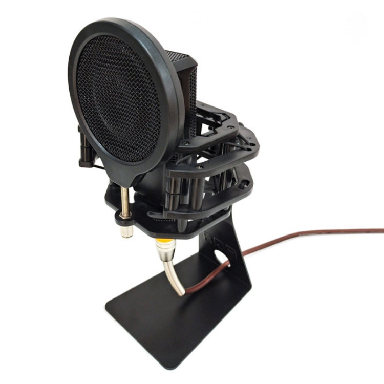 TEYUN L-Shaped Iron Triangle Metal Microphone Stand