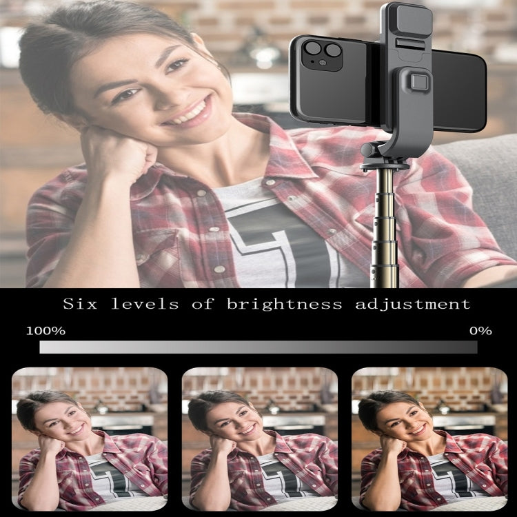 L03S Bluetooth Fill Light Tripod Integrated Selfie Stick, Black, White