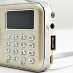 Y-619  FM/AM Mini Radio MP3 Rechargeable Music Player Support TF/SD Card with LED Display, Red, Gold, Blue, Black