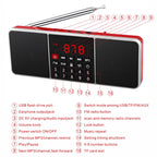 Dual Speaker Radio MP3 Player Support TF Card/U Disk with LED Display, L-288FM, L-288AM  Bluetooth