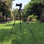 QingZhuangShiDai Q111 Aluminum Alloy Mobile Phone Camera Photography Tripod, Q111(Black)