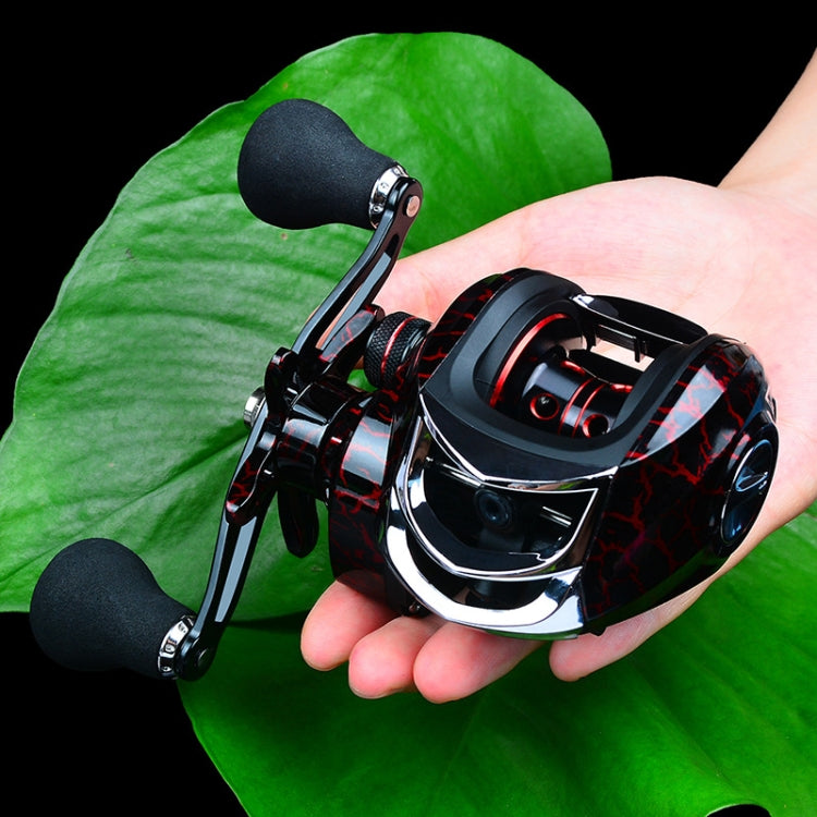 PROBEROS Metal Drop Wheel 18+1 Axis Axis Asian Fish Wheel, DW121L Left Hand, DW121R Right Hand
