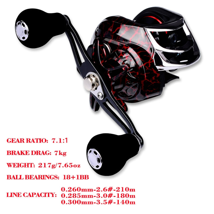 PROBEROS Metal Drop Wheel 18+1 Axis Axis Asian Fish Wheel, DW121L Left Hand, DW121R Right Hand