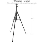 YUNTENG 6109 Camera Overhead Shot Tripod Universal Mobile Phone Live Broadcast Bracket, YUNTENG 6109