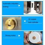 ID Access Control One Piece Induction Motor Lock, Single Head, Double Head, Single Head ID Swipe Card, Single Head IC Swipe Card