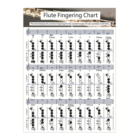 Coated Paper Flute Chord Fingering Practice Chart Staff Chord Fingering