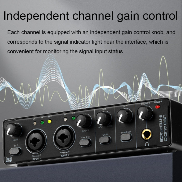 SK-1 USB Computer Driver-free Recording Sound Card Instrument Arranger Mixer