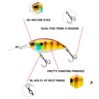 2pcs Inner Laser Deep Dive Sea Fishing Rock Fat Fake Bait Plastic Stiff Bait, 2pcs CB034/A, 2pcs Cb034/B, 2pcs CB034/C, 2pcs CB033/A, 2pcs CB034/D, 2pcs CB033/B, 2pcs CB034/E, 2pcs CB033/C, 2pcs CB034/F, 2pcs CB033/D, 2pcs CB033/E, 2pcs CB033/F        ...