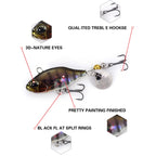 2pcs Luya Bait Shenshui VIB With Metal Tablets Fake Bait Tiller Mouth Bass Bionic Fishing Bait, 2pcs E, 2pcs A, 2pcs B, 2pcs C, 2pcs D