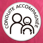 20 PCS Dual People Waterproof And Sun Protection Magnetic Car Sticker, Dual People