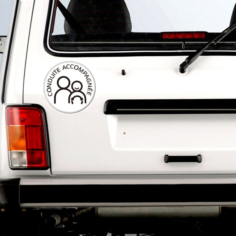 20 PCS Dual People Waterproof And Sun Protection Magnetic Car Sticker, Dual People