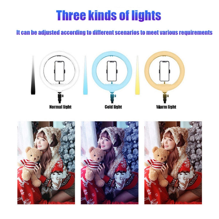 360 Photo Booth Electric Rotating Small Stage For Parties and Weddings, 80cm, 100cm, 115cm