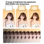 10 Inch 3000-6500K Three-color Temperature Photography Flat-panel Live Fill Light,Spec:, Only Light, 30cm Bracket, 42CM Bracket, 0.5m Bracket, 2.1m Bracket, 2.1m Bracket+Clip, Small Tripod
