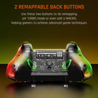 RGB Light Wired Gamepad Controller For PC/Switch, BIGBIGWON C1 Lite, BIGBIGWON C1 Lite+R90, BIGBIGWON C1 S, BIGBIGWON C1 S+R90