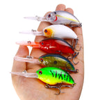 HENGJIA Rock Lure Small Fat Hard Bait Boxed Fake Bait