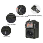 HanRongda HRD-700 Full Band Bluetooth MP3 Play Radio Station Memory Mechanical Tuning Radio, HRD-700