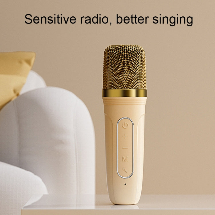 Havit P1 Portable Singing Home Wireless Bluetooth Speaker Microphone Set, Dual-microphone