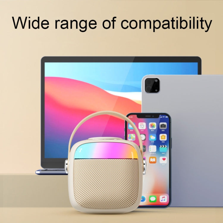 Havit P1 Portable Singing Home Wireless Bluetooth Speaker Microphone Set, Dual-microphone