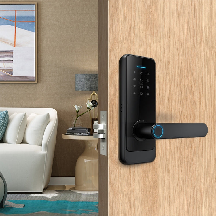 C89 Smart Fingerprint Password Lock Home Indoor Door TUYA System Lock, C89 Silver, C89 Black