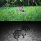 2.7K Outdoor Tracking Camera Infrared Night Vision Monitoring Hunting Camera, HC-810A