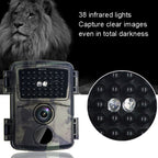 PR600A 20 Million 1080P HD Infrared Cameras 38 Infrared Lamp Monitoring Cameras, PR600A