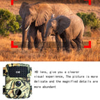 PR600C 20MP 1080P HD Infrared Camera Outdoor Hunting Camera 38 Infrared Light Monitoring Camera, PR600C