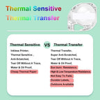 For Phomemo P12 / P12 Pro 12mm x 4m Consumables Label Ribbon, Black Word On White Thermal Paper, Black Word On White Synthetic Paper, Black Word On White Thermal Transfer, Black Word On Transparent Synthetic Paper                                       ...
