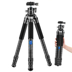Carbon Fiber Portable Folding Tripod SLR Camera Low Gravity Center Gimbal Photography Bracket, BEXIN RC254, BEXIN RC254+LH-28