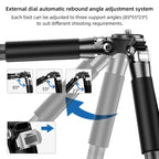 Carbon Fiber Portable Folding Tripod SLR Camera Low Gravity Center Gimbal Photography Bracket, BEXIN RC254, BEXIN RC254+LH-28
