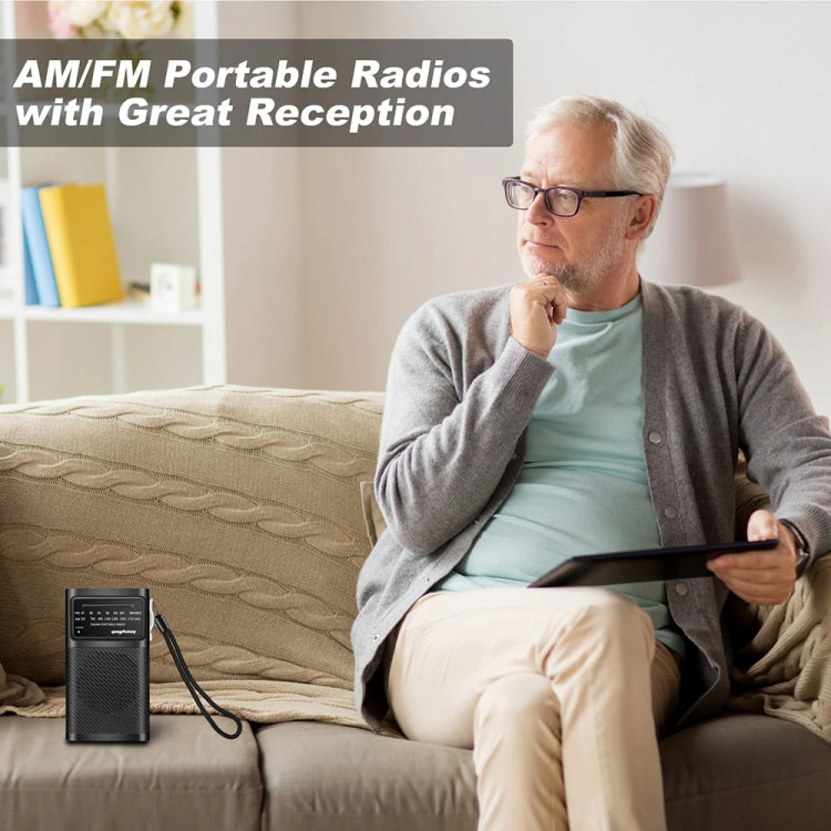J-180 Portable Pointer FM/AM Two-Band Radios With Carrying Clip, Regular Version